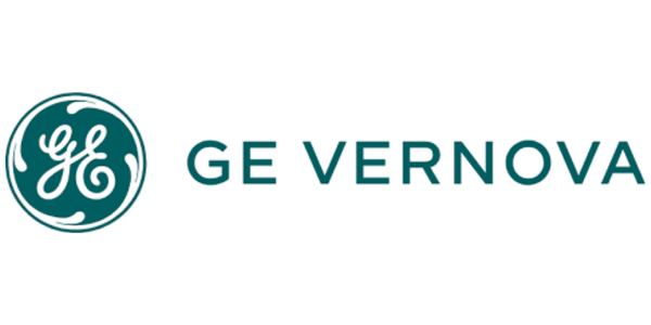 GE Vernova T D India Ltd